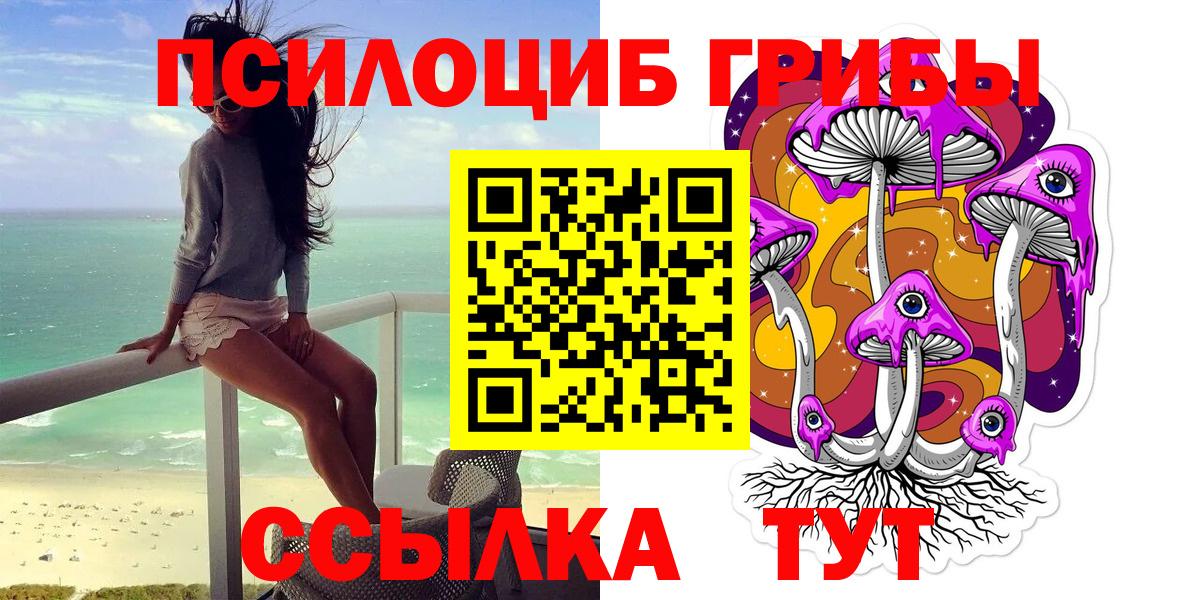 Галлюциногенные грибы Psilocybe Елец
