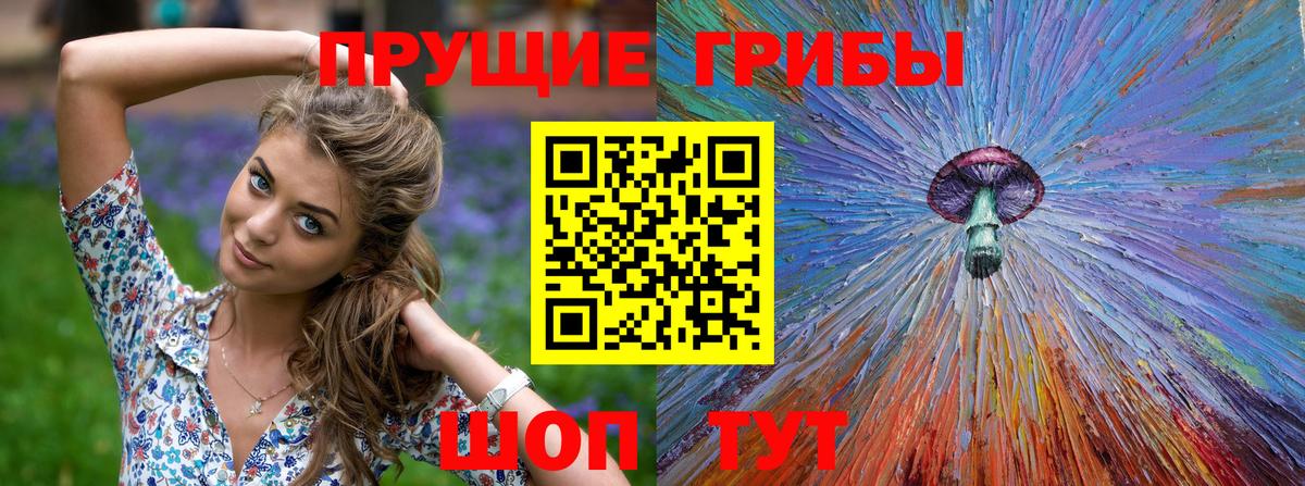 что такое   Вход с VPN  Елец  Псилоцибиновые грибы Psilocybine cubensis 
